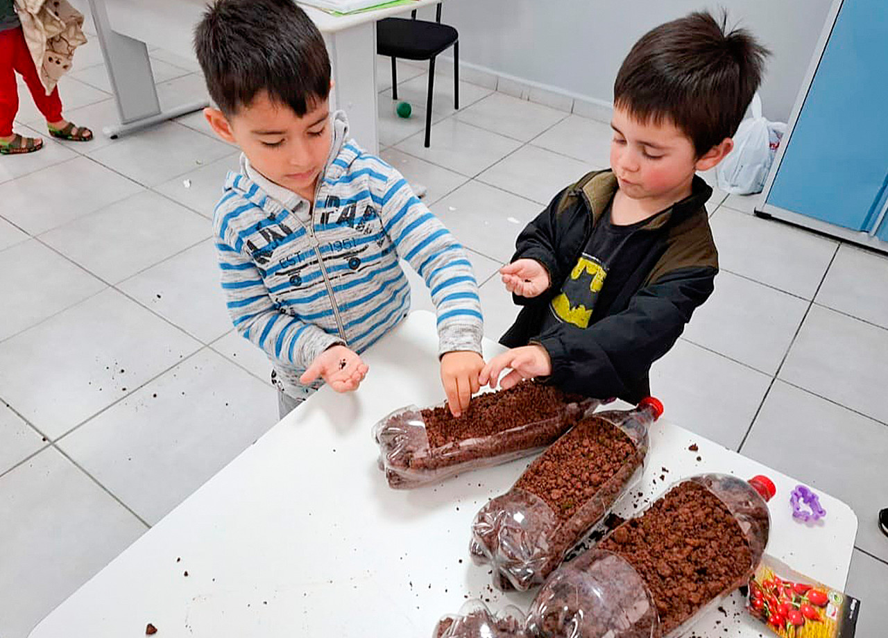 Projeto Férias: Plantação de Mudas