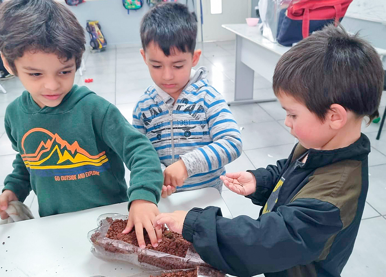 Projeto Férias: Plantação de Mudas