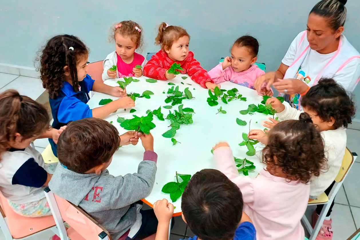 Turma do maternal I A participou de uma atividade sensorial com hortelã no Centro Educacional Benedicta Stefano Antunes de Oliveira
